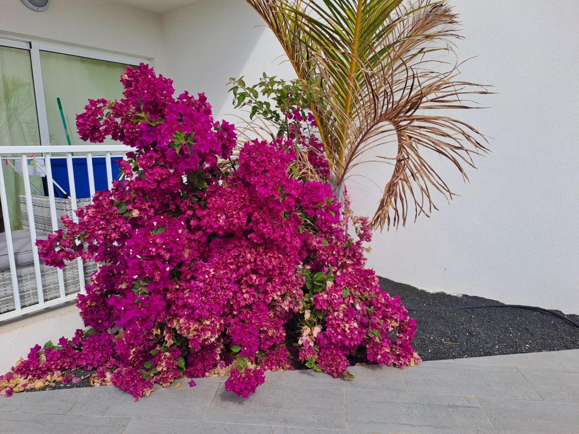 Апартаменты Luxury Sea View Senator Lanzarote Коста-Тегисе Экстерьер фото